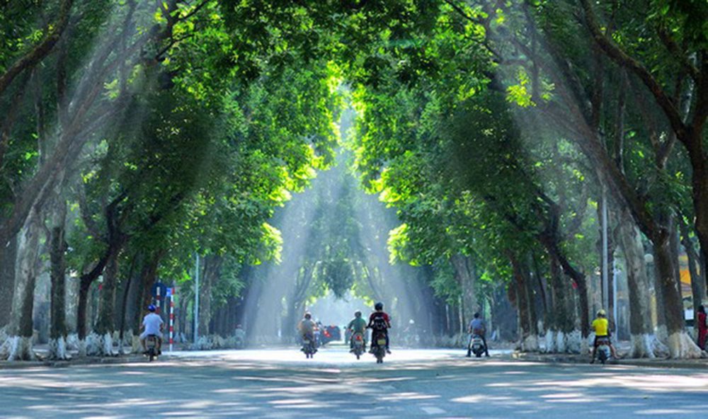 Dự báo thời tiết ngày 24/2: Bắc Bộ có sương mù, Nam Bộ nắng nóng