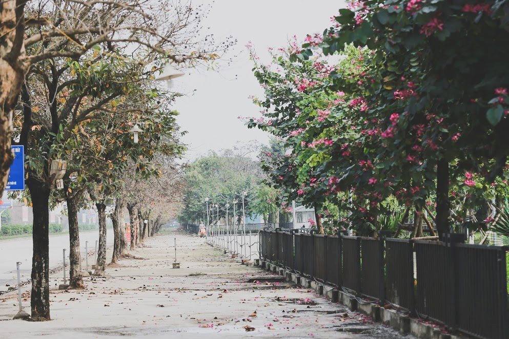   Thời tiết 27/3: Không khí lạnh tràn về miền Bắc