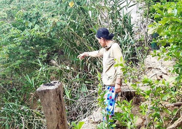 Sạt lở “bủa vây” người dân ở Quảng Nam